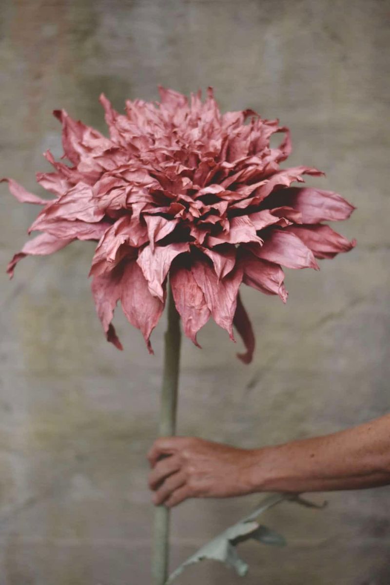 Lilla - Papirblomst Dahlia 143 cm