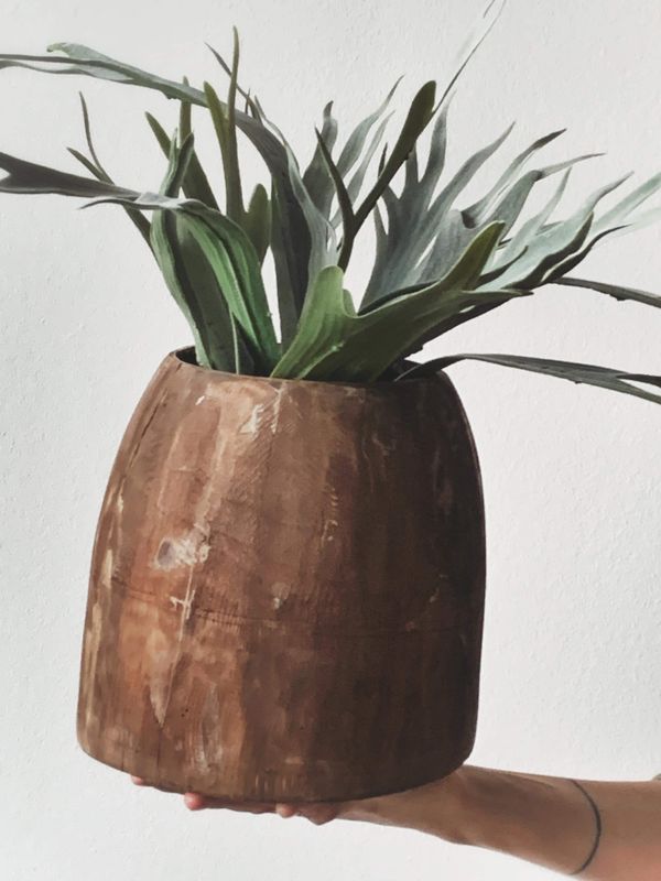 Plante i potte
