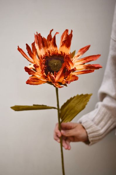 Hovedbilde Rust - Solsikke Papirblomst ...