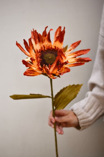 Hovedbilde Rust - Solsikke Papirblomst ...