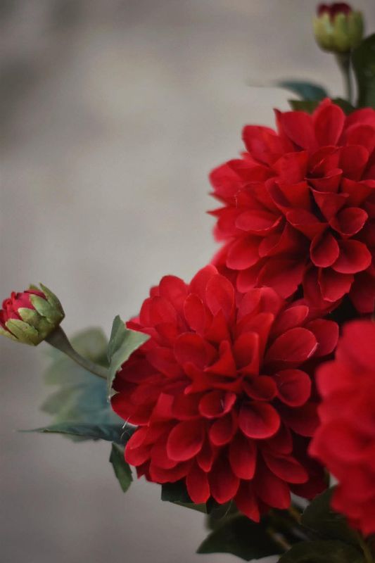 Rød - Dahlia snittblomst 66 cm 