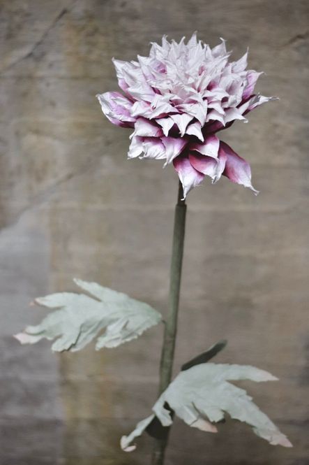 Hovedbilde Lilla mix- Papirblomst Dahlia ...
