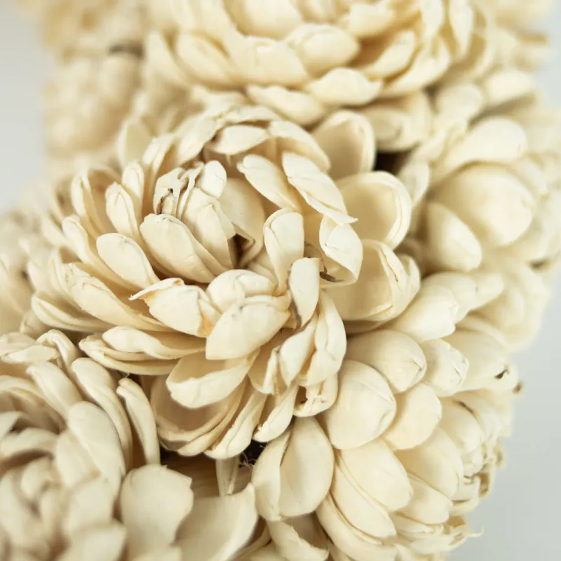 chrysanthemum - Krans 