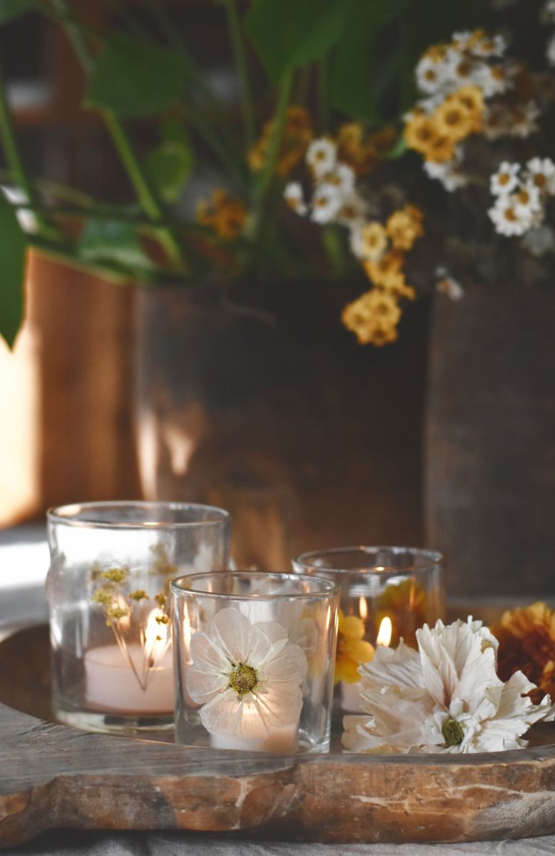 Krem - botanikk lysglass