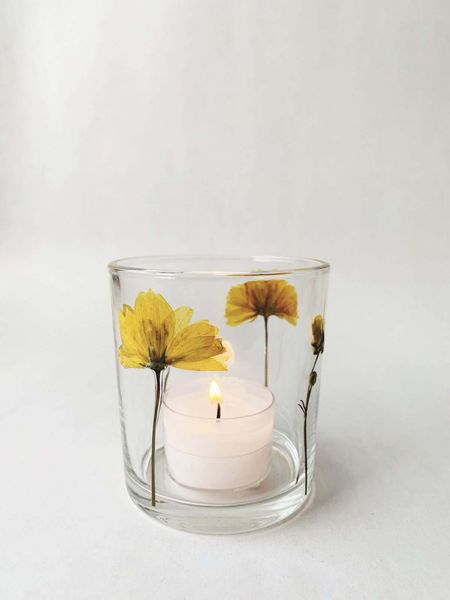 Hovedbilde Gul No 2 - botanikk lysglass