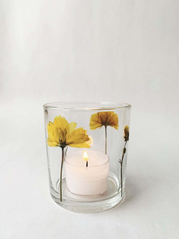 Gul No 2 - botanikk lysglass
