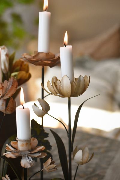 Hovedbilde Krem - Lysestake Tulipan 26 ...